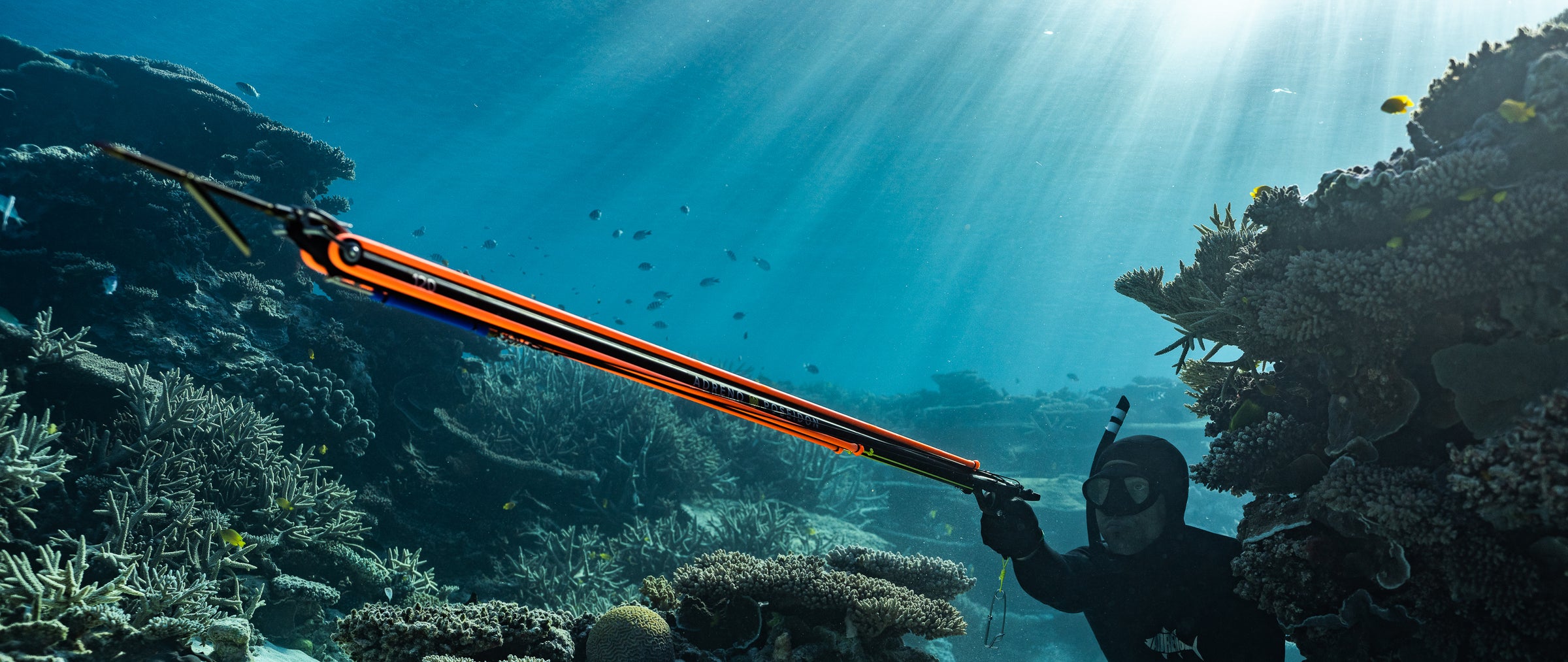 Roller Spearguns