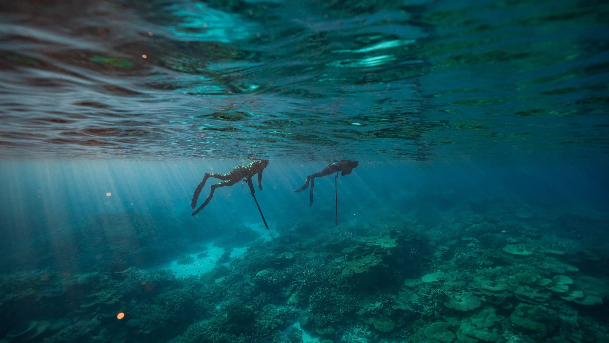 DiveR Spearfishing Gear & Fins