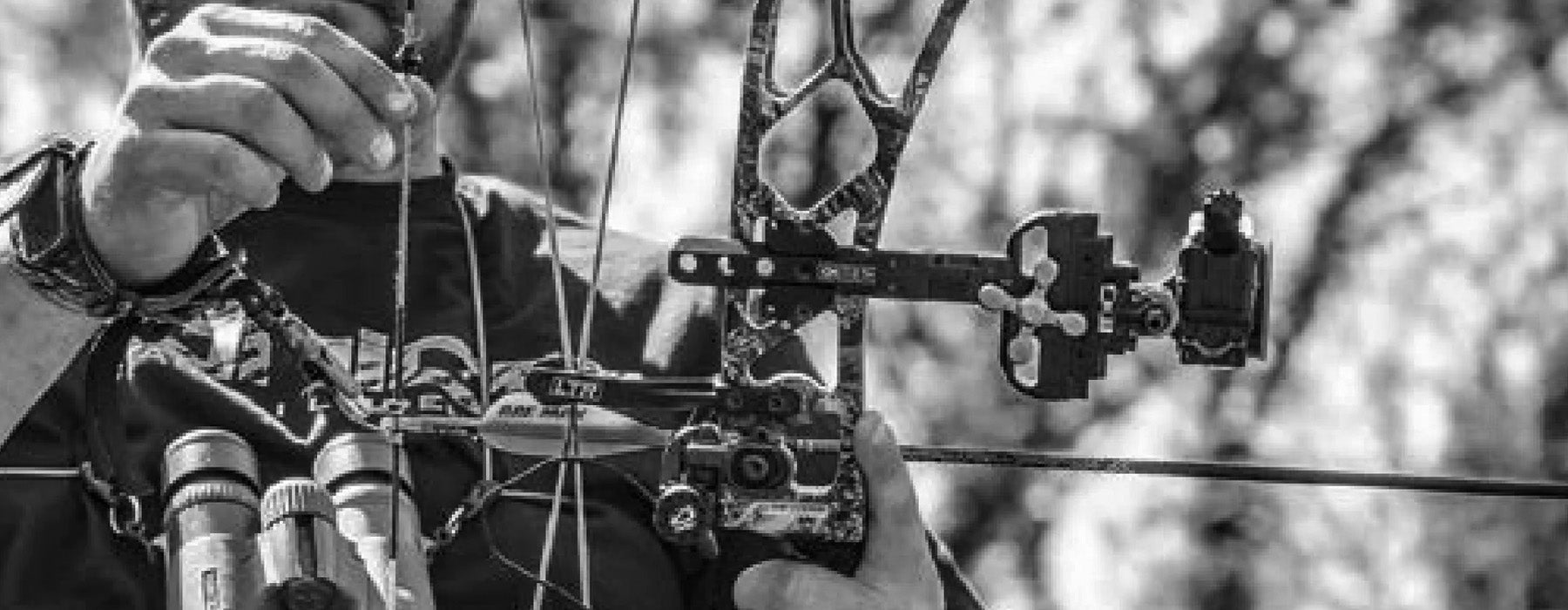 Elite Archery Compound Bows
