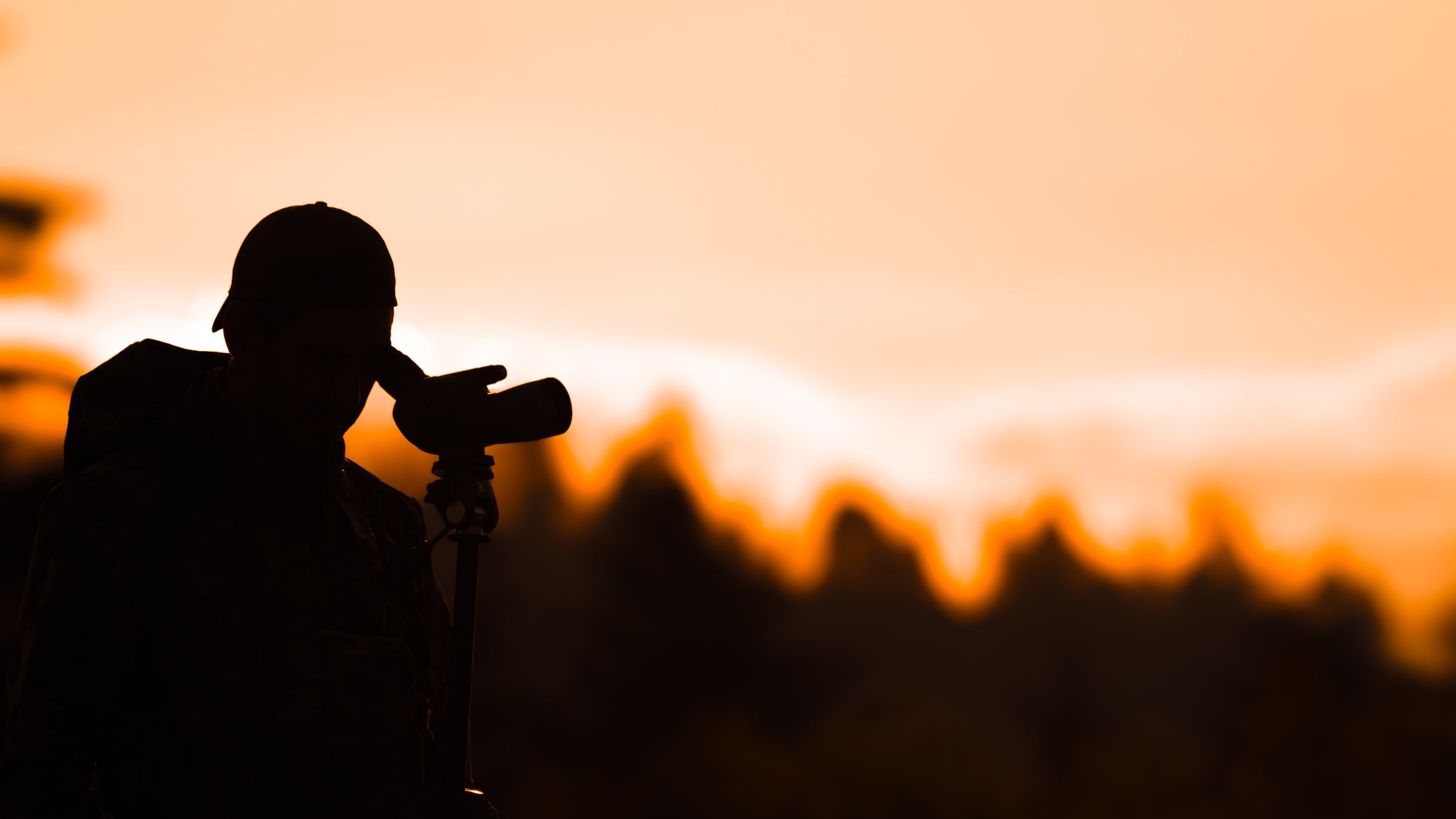 Spotting Scopes