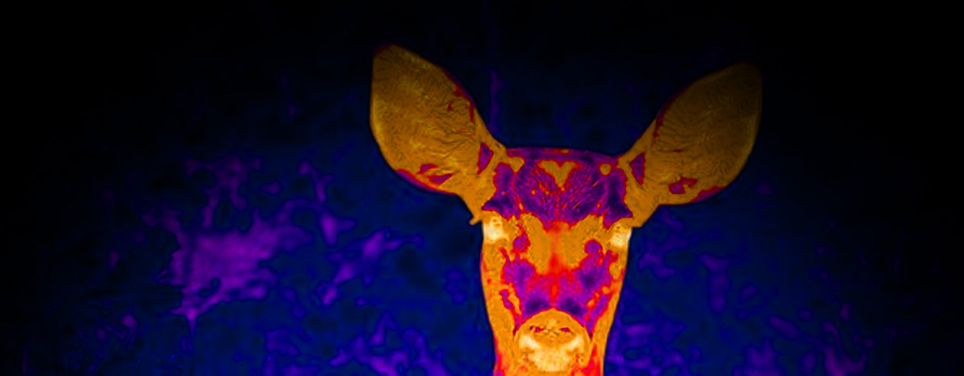 Hunting Thermal Optics