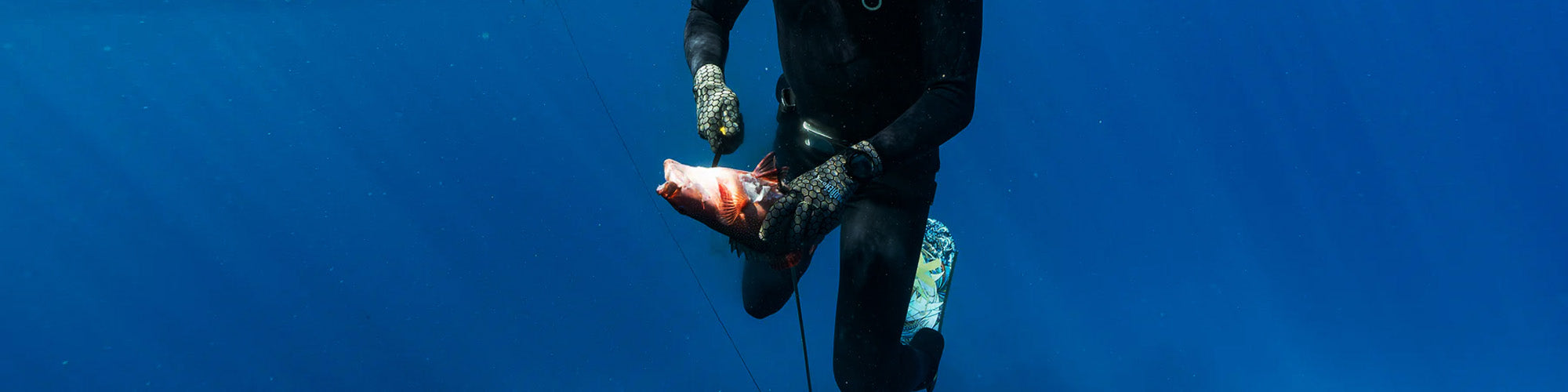 Spearfishing & Dive Knives