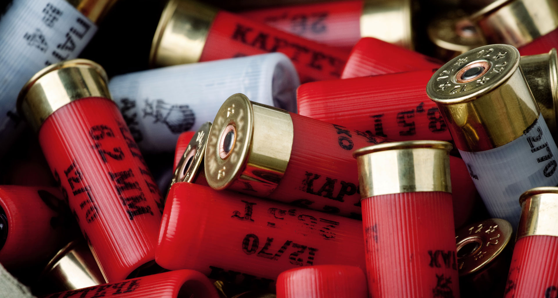 Shotgun Ammunition