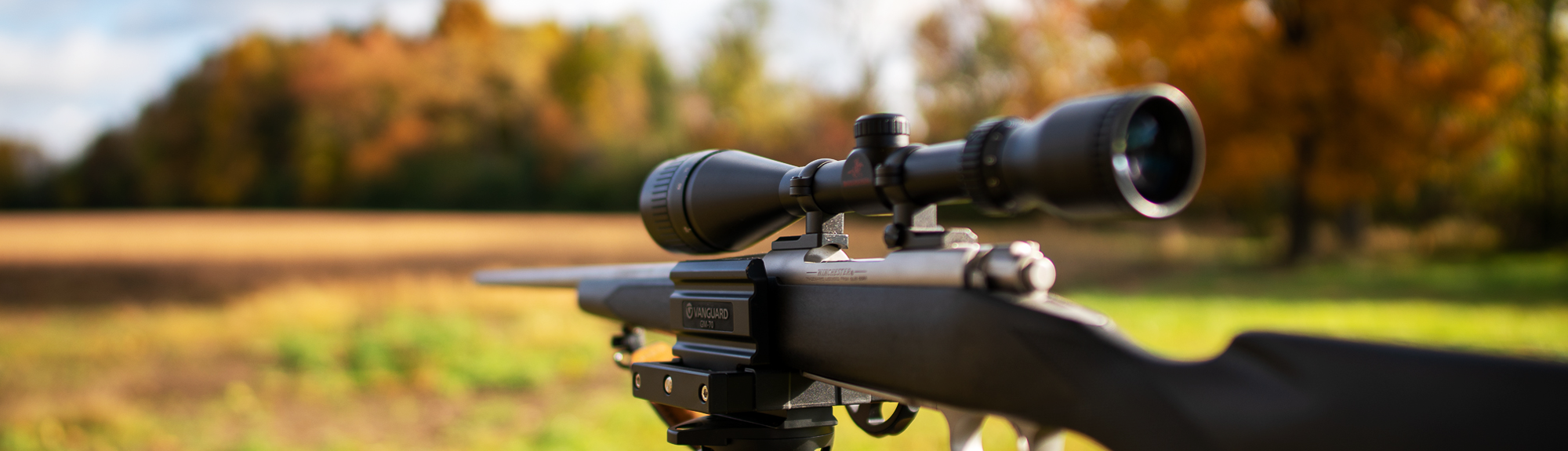 Vanguard Rifles