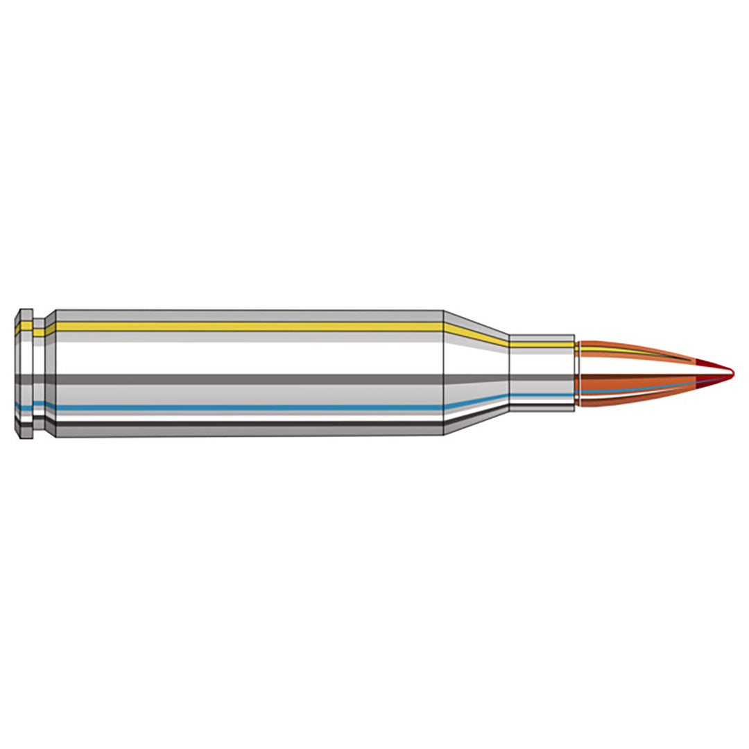 Hornady 243 Win 80 gr. CX Outfitter Centrefire Ammo 20 Rounds .243 WIN
