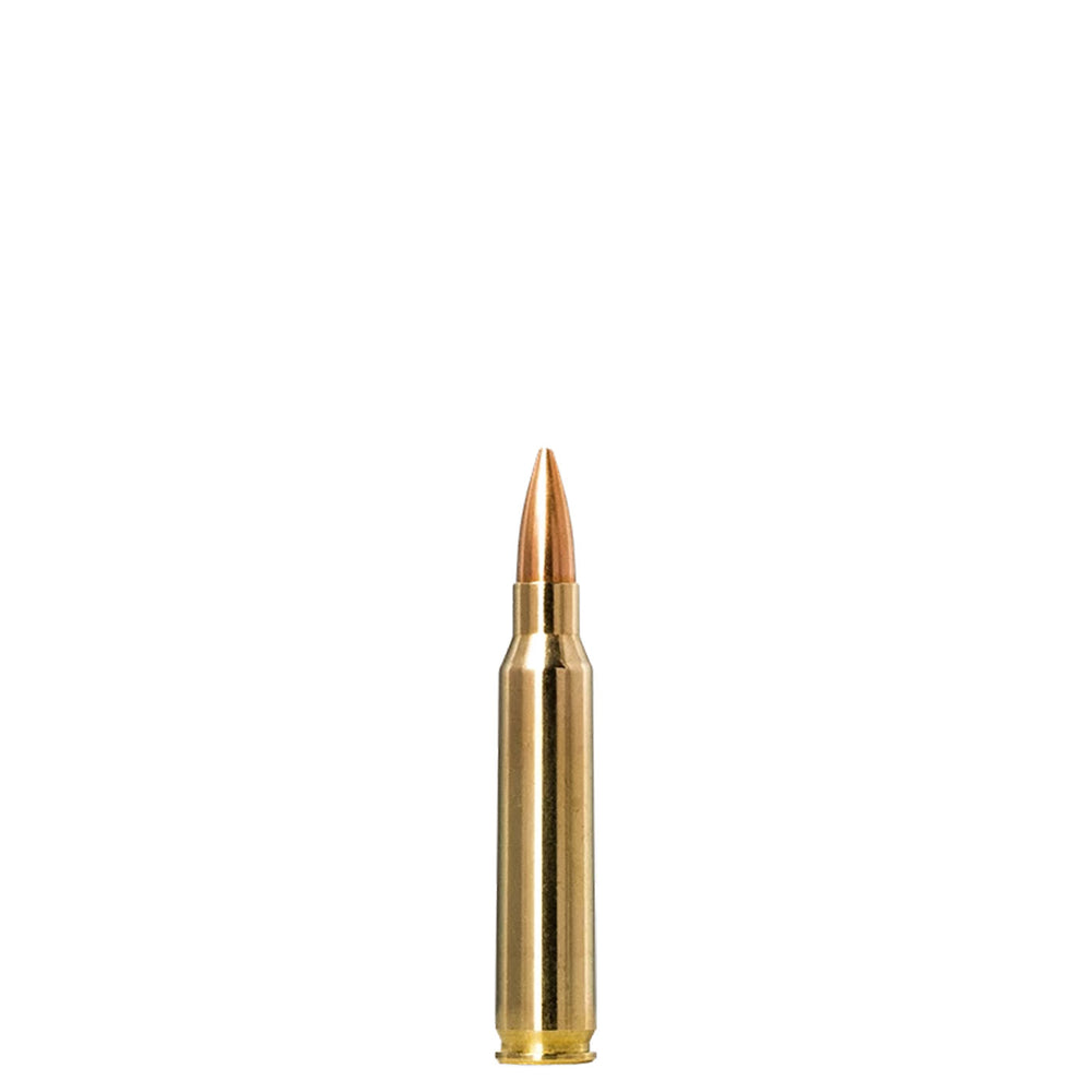 Norma Golden Target 223REM 69Gr - 20 Rounds