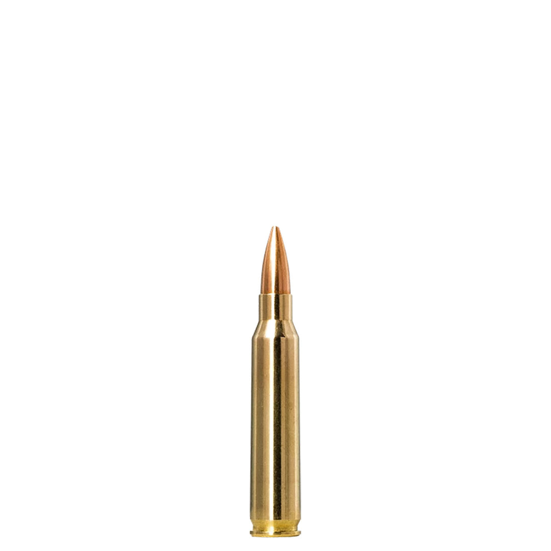 Norma Golden Target 223REM 69Gr - 20 Rounds
