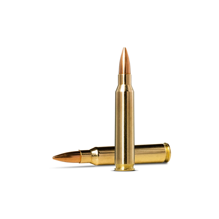 Norma Golden Target 223REM 69Gr - 20 Rounds