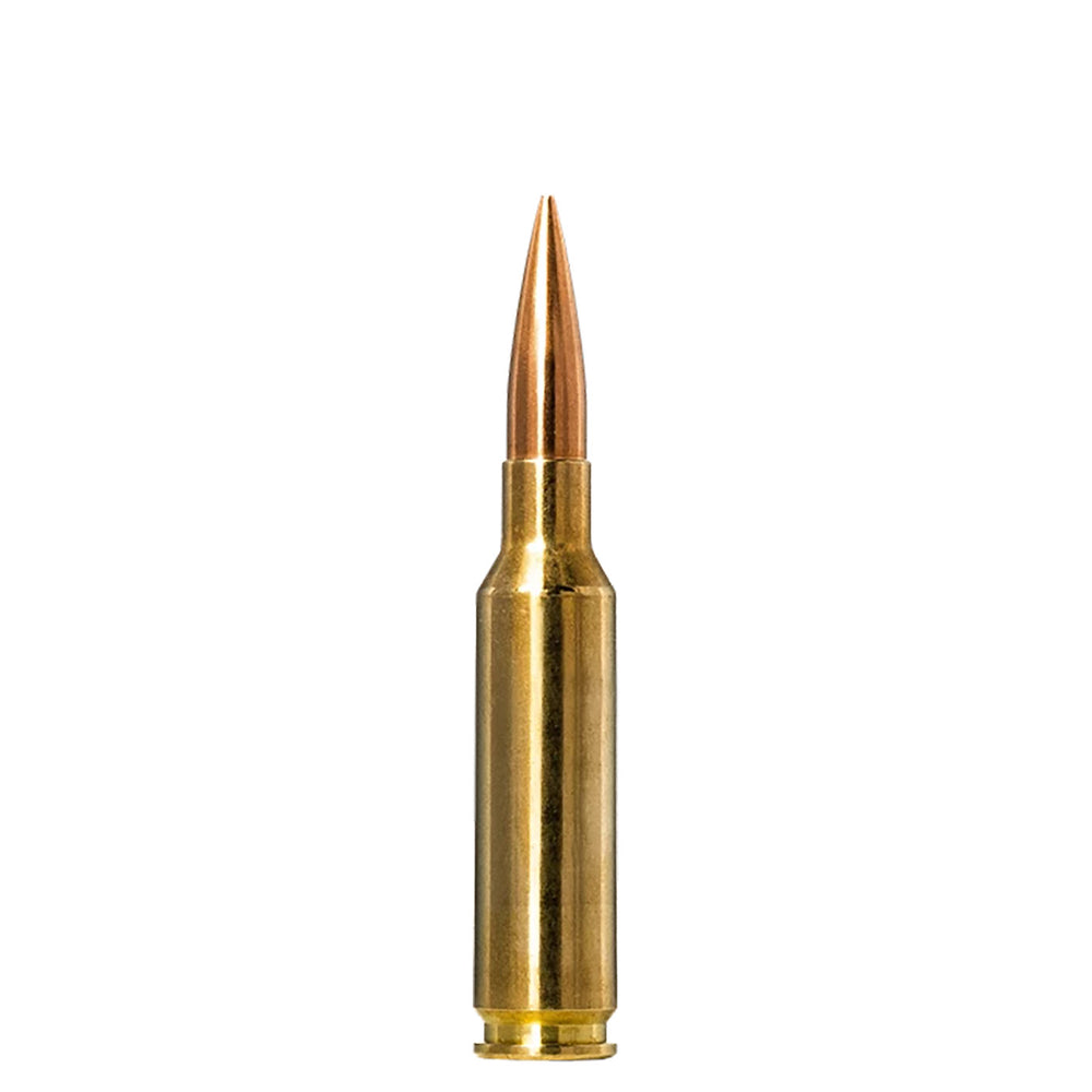 Norma Golden Target 6.5CM 143Gr - 20 Rounds