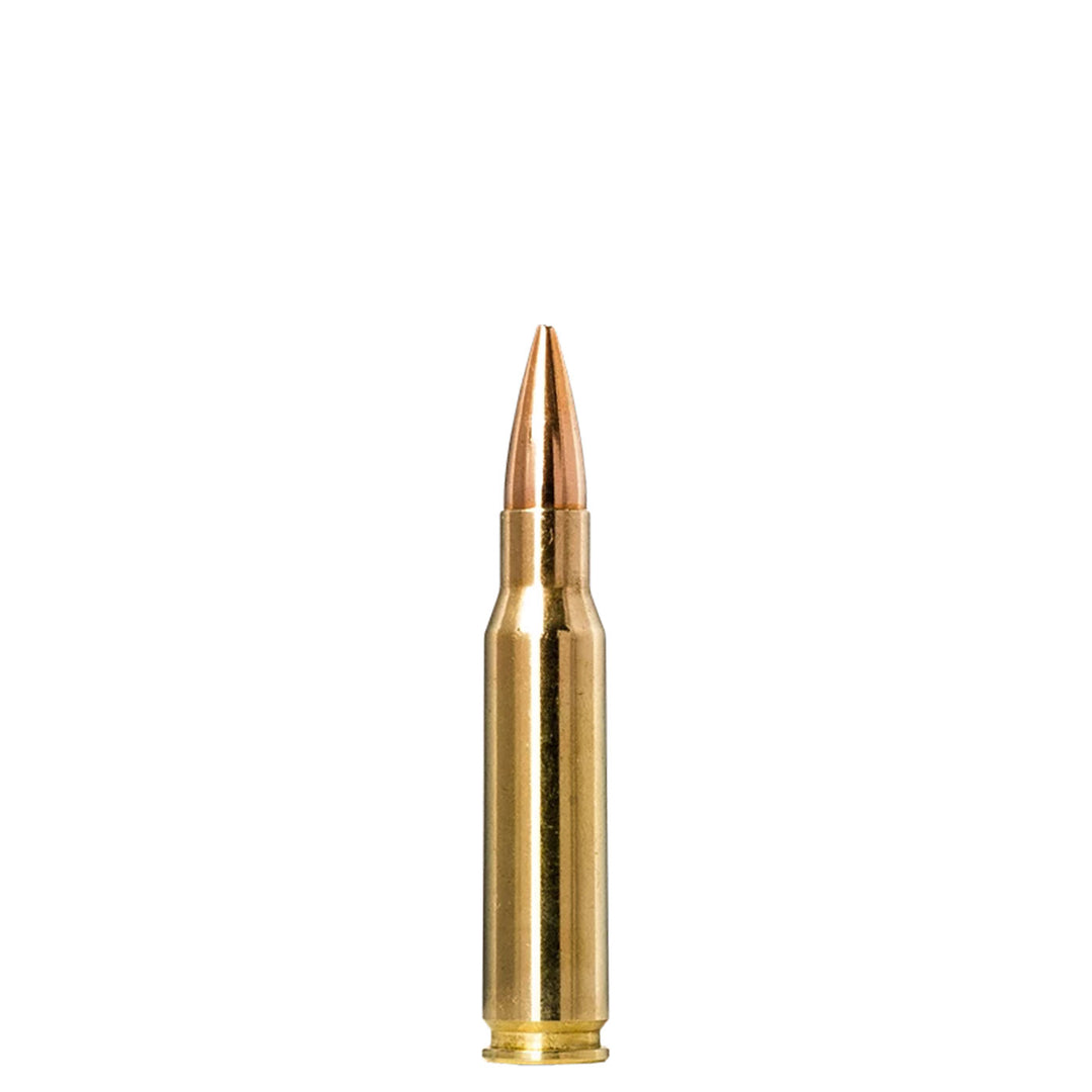 Norma Golden Target 308WIN 155Gr - 20 Rounds