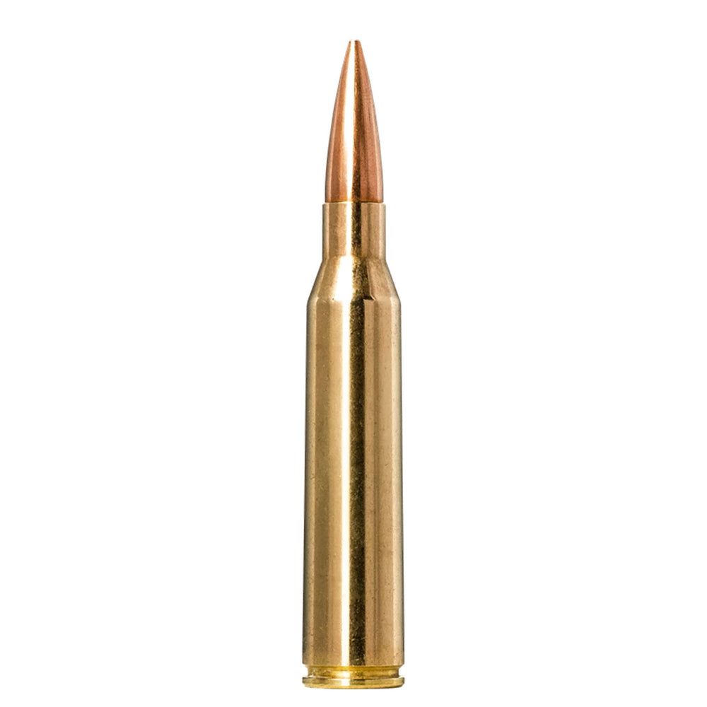 Norma Golden Target 338 Lapua Mag 250Gr - 20 Rounds