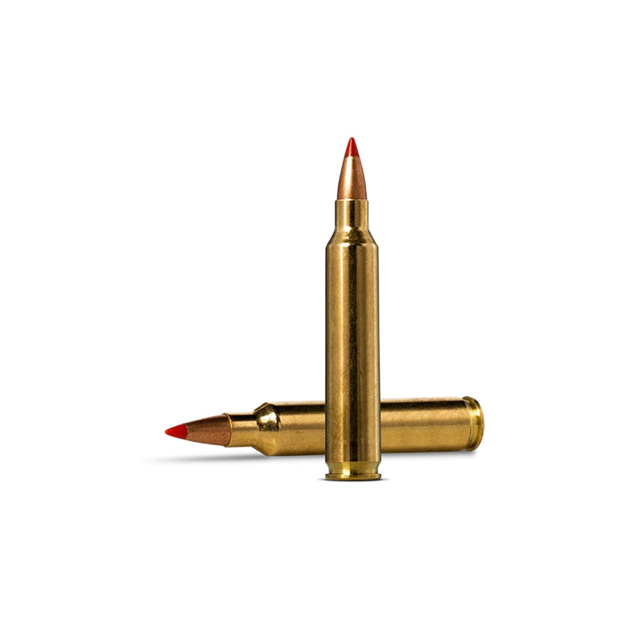 Norma 204 Ruger 40Gr V-Max - 20 Rounds