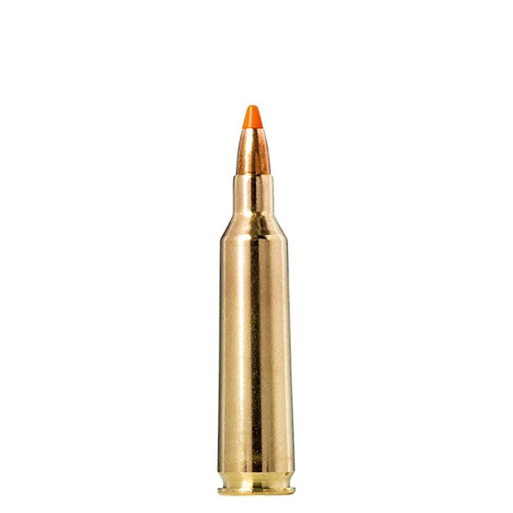 Norma Tipstrike 22-250REM 55Gr Varmint - 20 Rounds