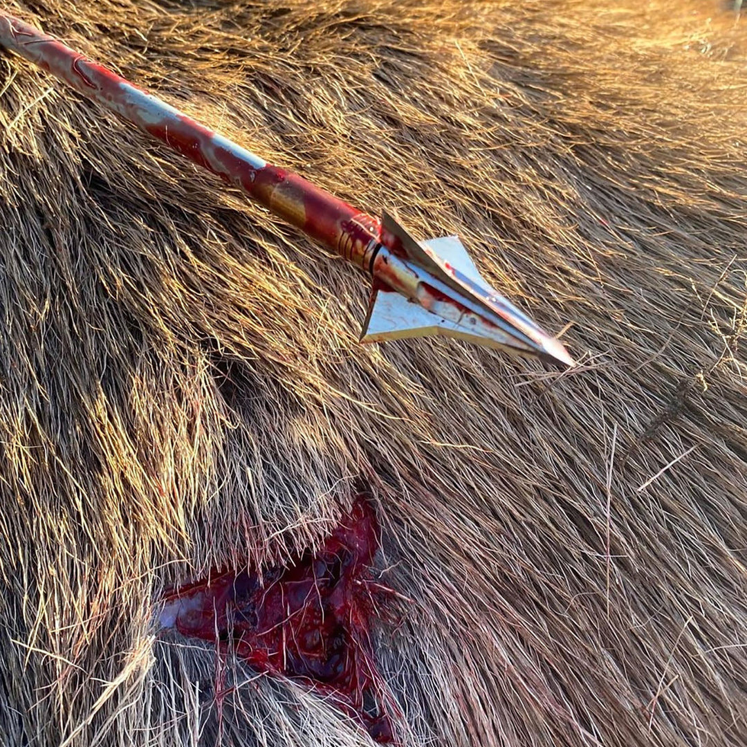 Kayuga TRI ZOT Broadheads - 3 Pack