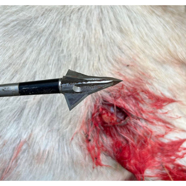 Kayuga TRI ZOT Broadheads - 3 Pack
