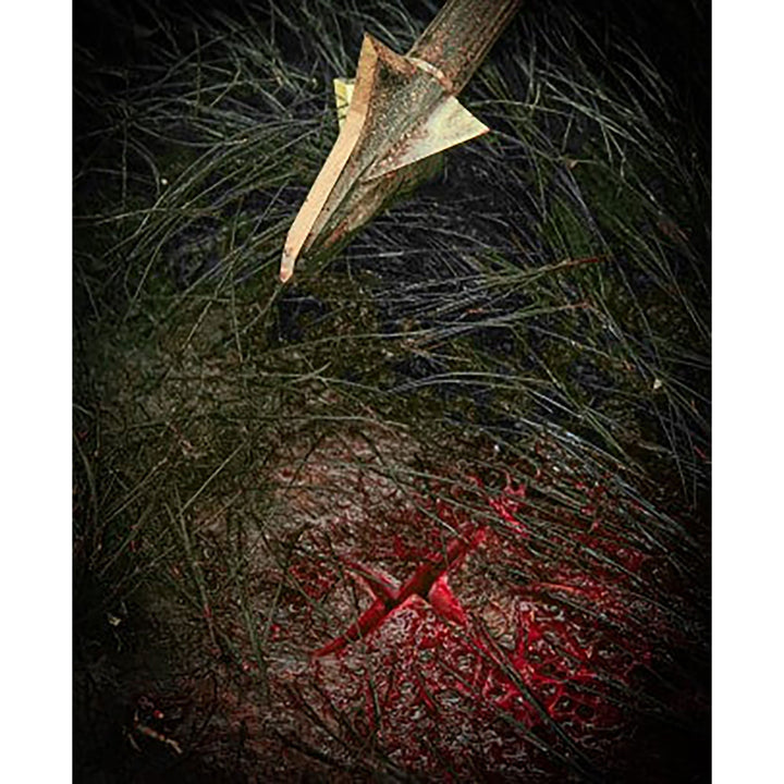 Kayuga Gen 2.0 Wide Broadhead Bleeders - 8 Pack