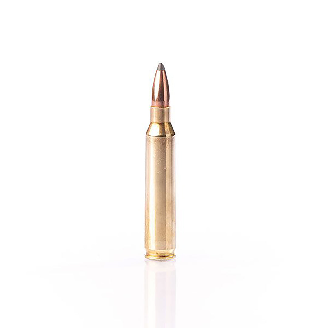 Fiocchi 223 Rem 55Gr SP Centrefire Ammo - 50 Rounds .223 REM