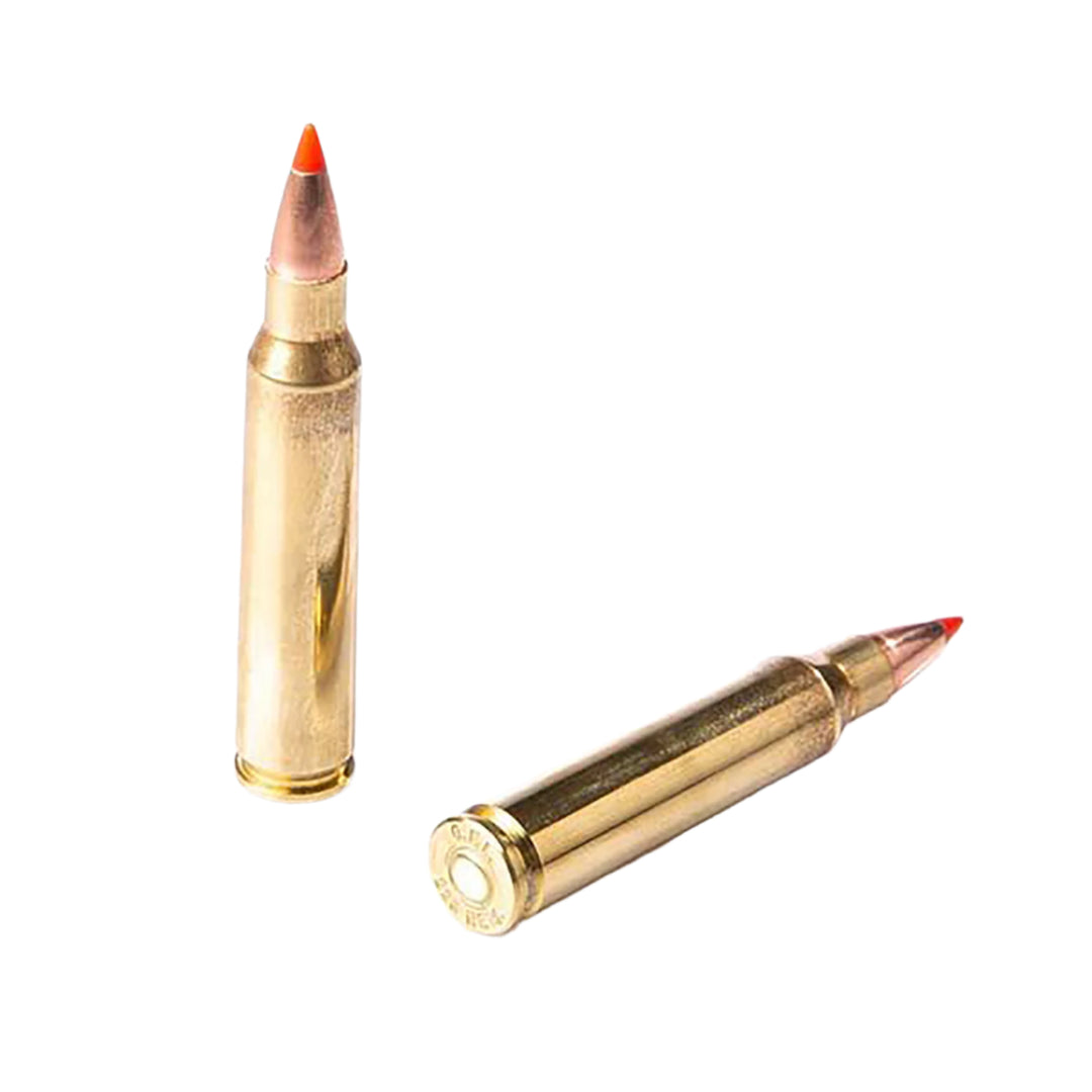 Fiocchi 223 Rem 55Gr V-max Centrefire Ammo - 50 Rounds .223 REM