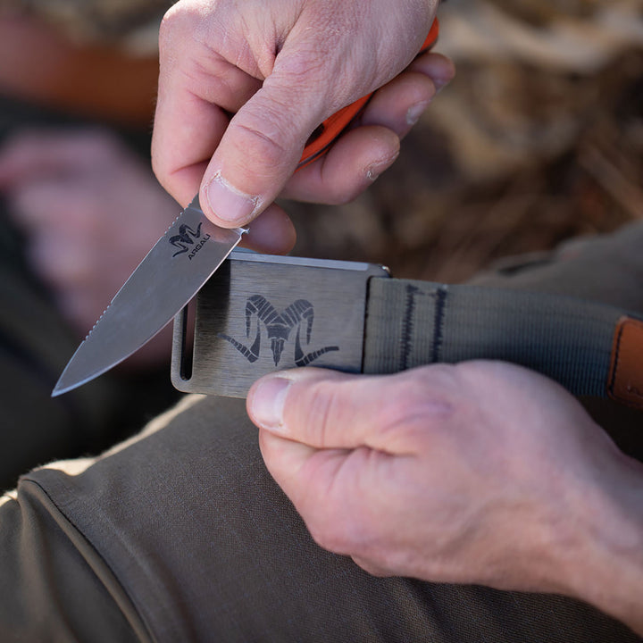 Argali Kodiak Field Belt Small / Sage
