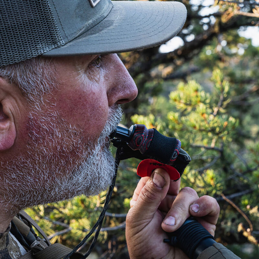 Phelps Elk Call Reed Call Mini X - Double D - Red Red