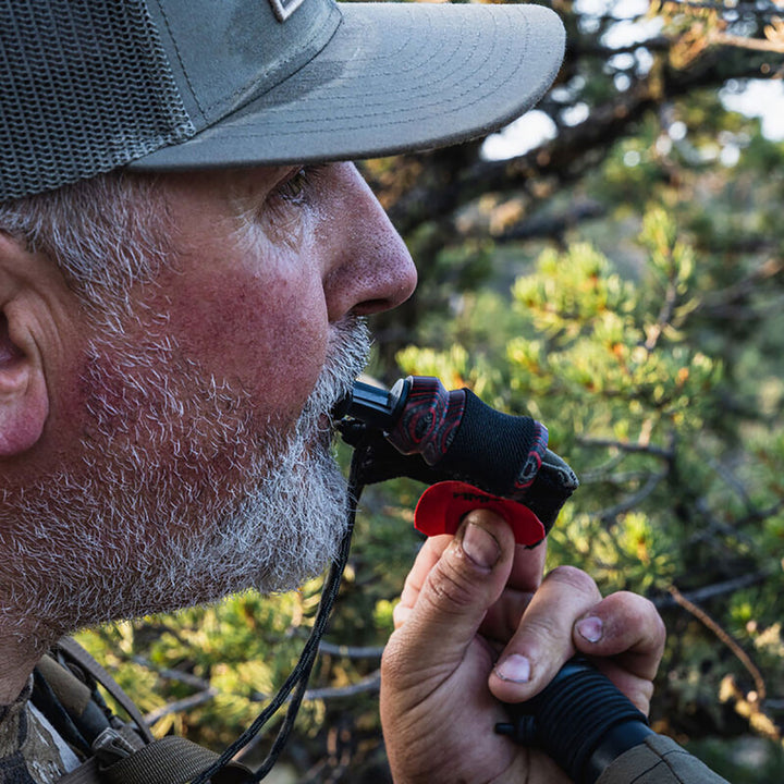 Phelps Elk Call Reed Call Mini X - Double D - Red Red