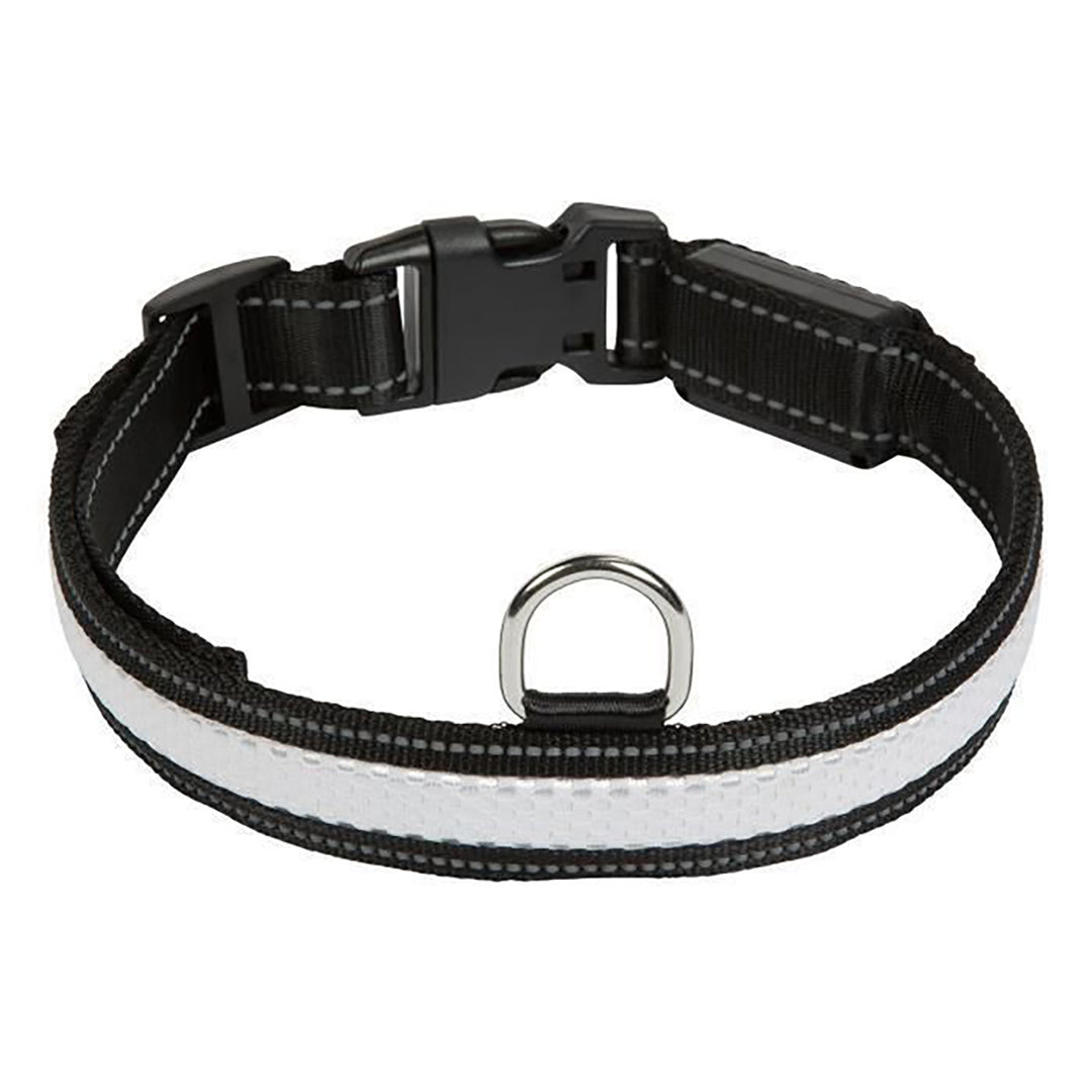 DogMaster LED RGB Light Dog Collar