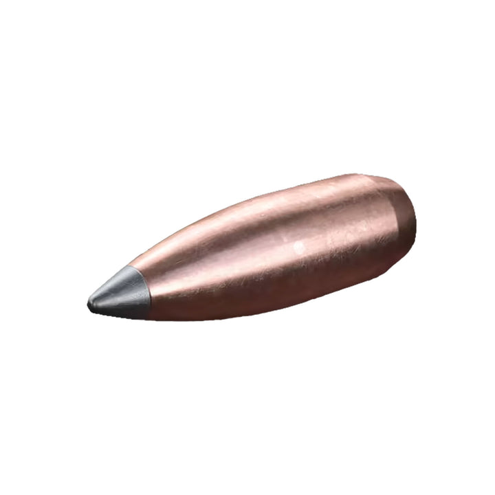 Sako Gamehead 22-250REM 55Gr - 20 Rounds