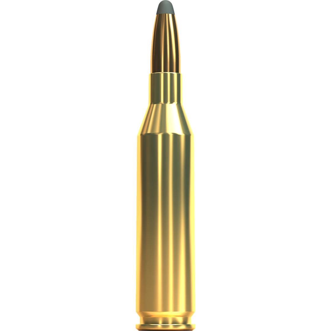 Sellier and Bellot 243 WIN 100gr SP Centrefire Ammo - 20 Rounds .243 WIN