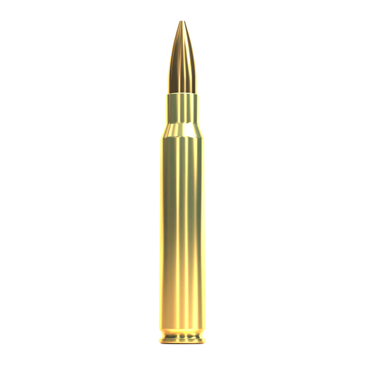 Sellier and Bellot 30-06 SPRG 168gr HPBT Centrefire Ammo - 20 Rounds