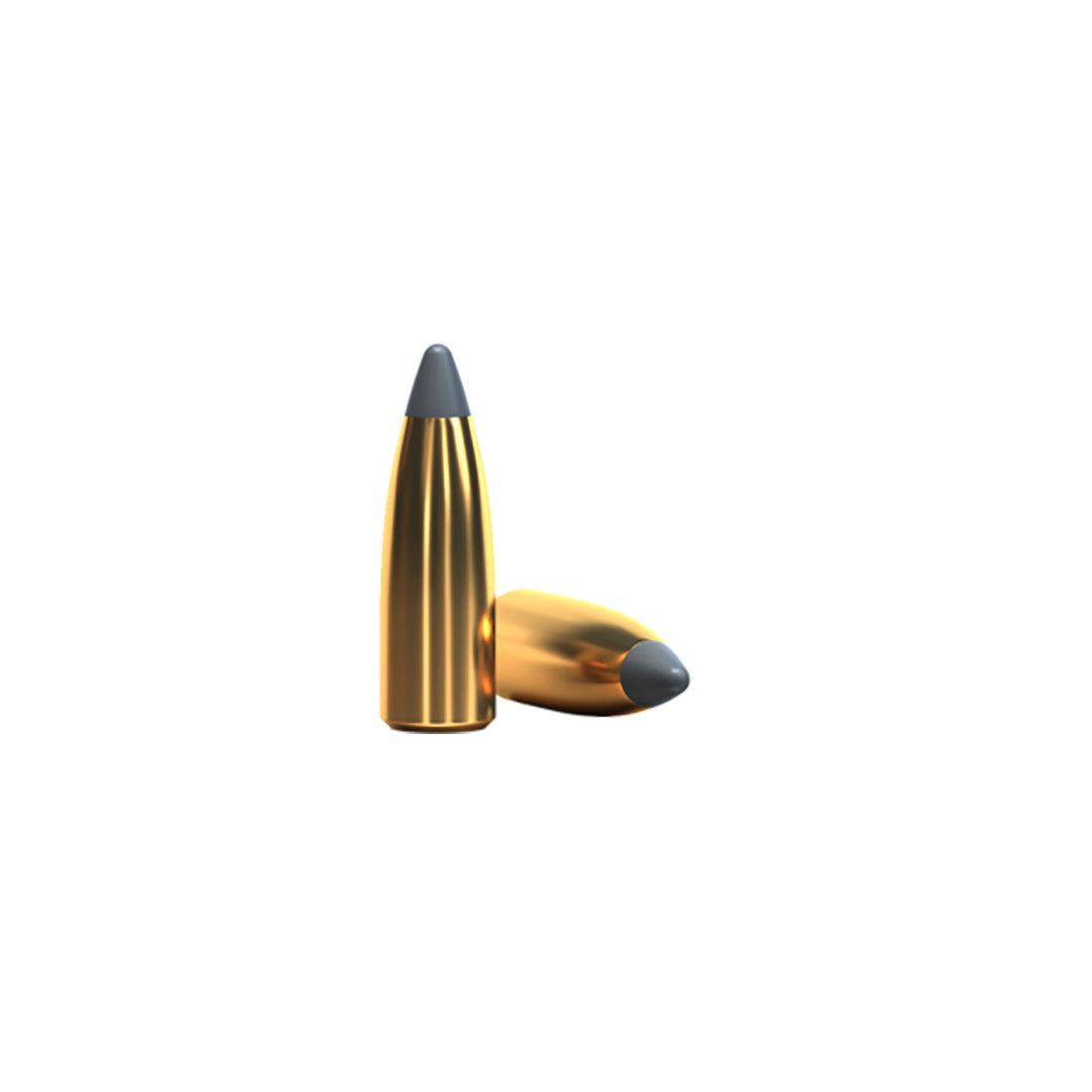 Sellier And Bellot 223REM 55Gr SP - 100 Bulk Pack