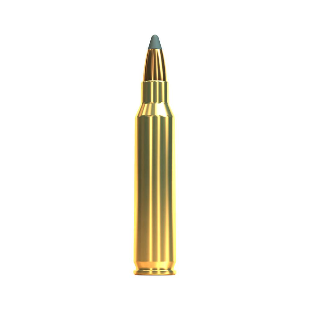 Sellier And Bellot 223REM 55Gr SP - 100 Bulk Pack