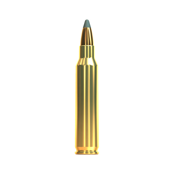 Sellier And Bellot 223REM 55Gr SP - 100 Bulk Pack