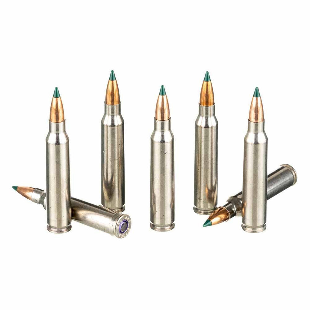 Sierra Prairie Enemy 55 Gr Centrefire Ammunition - .223 REM