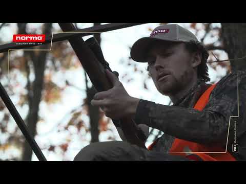 Norma Whitetail Soft Point 308WIN 180Gr - 20 Rounds