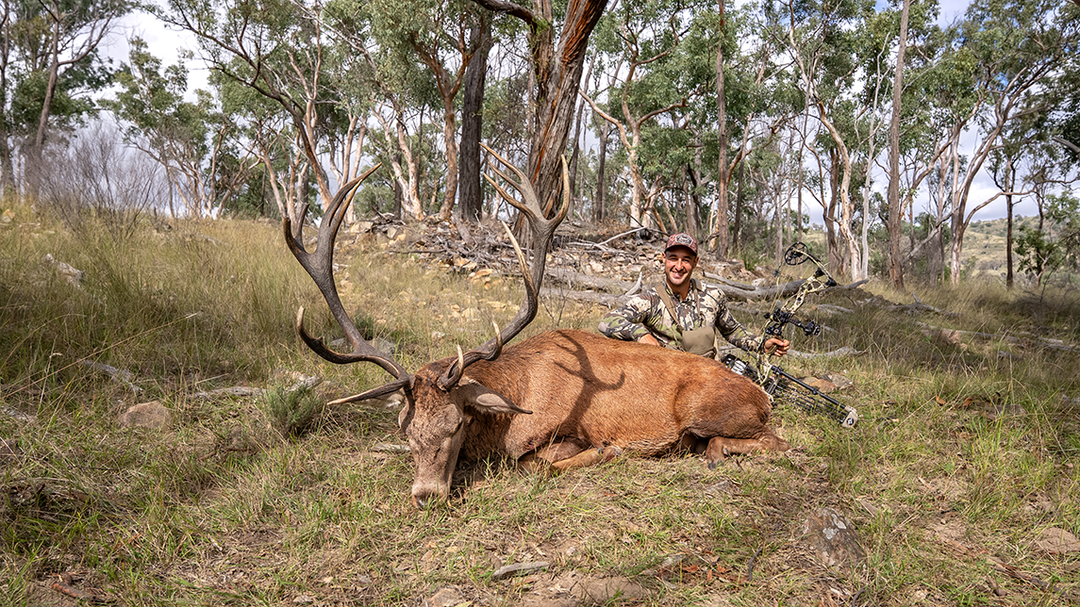 Twin Elements E19: The Stag of a Lifetime - Hunter Valley
