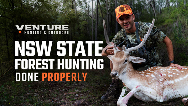 Hunting NSW State Forests: Real Opportunity on public land