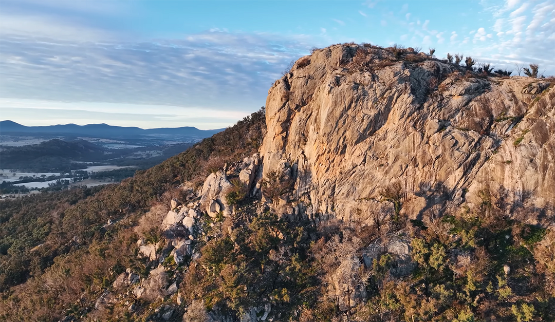 Wild Reaches: Bow hunting for food in Gubbi Gubbi and Anaiwan Traditional Country