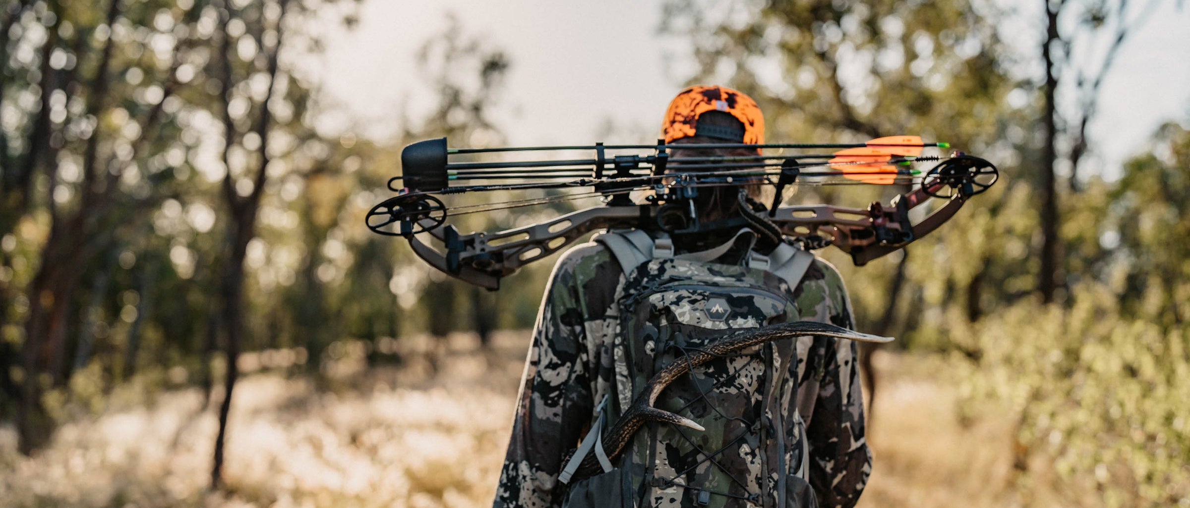 Traditional and Compound Hunting Bows