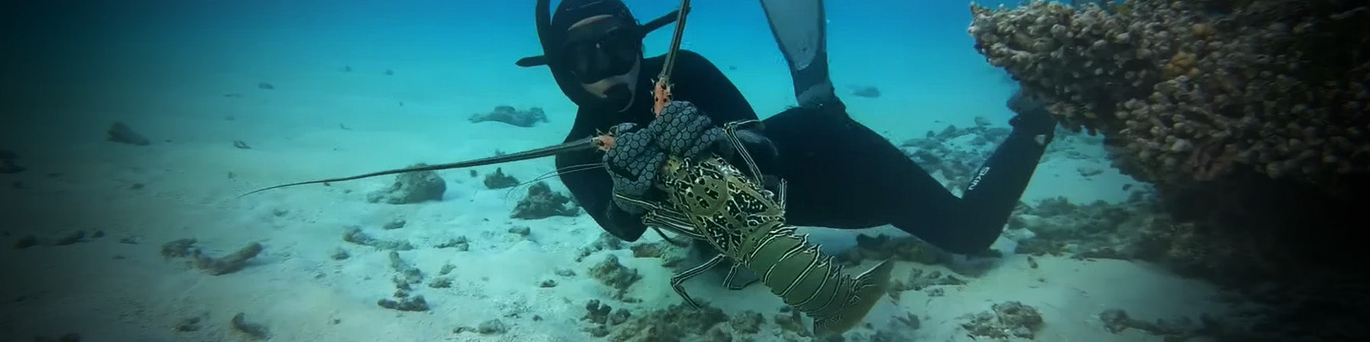 Cray Fish And Abalone