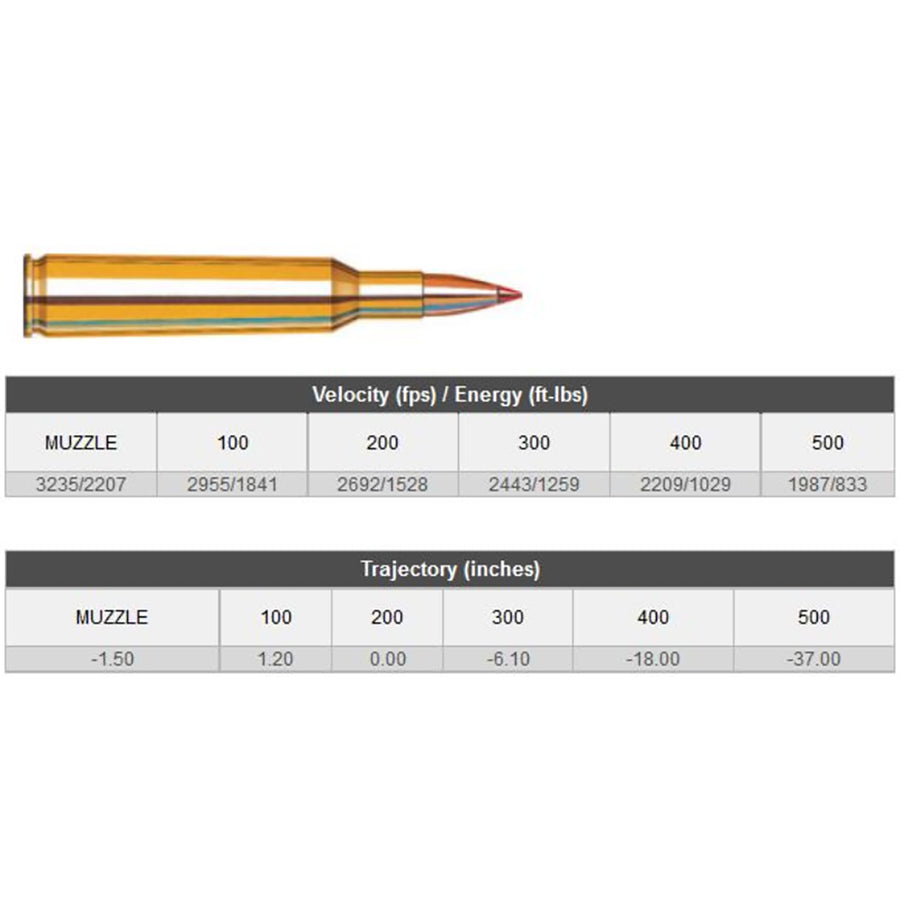 Hornady 6MM REM 95 GR SST SPF Centrefire Ammo 20 Rounds 6mm