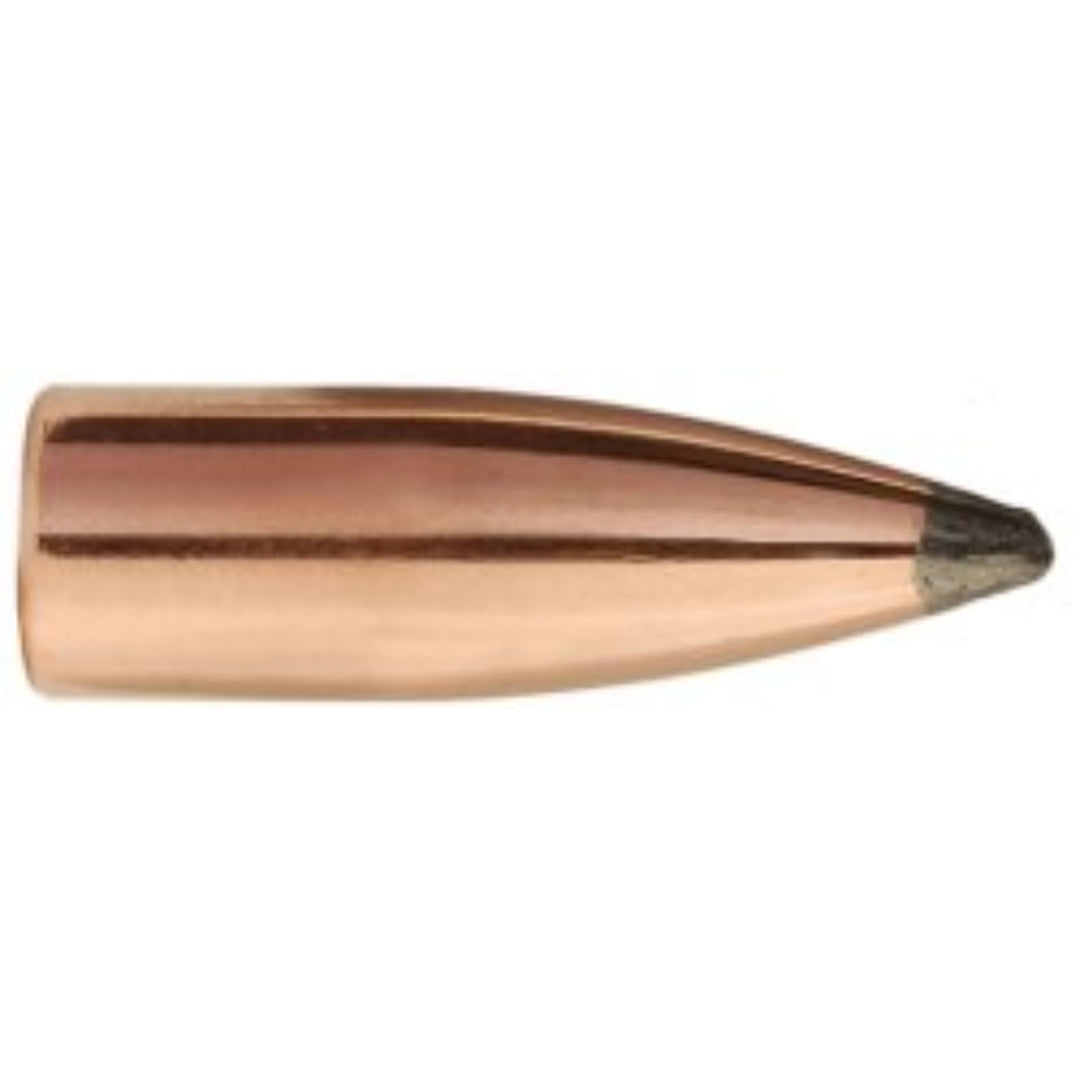 Sierra 1345 .22 55gr Blitz Varmint Projectile - 100pk .22 CAL