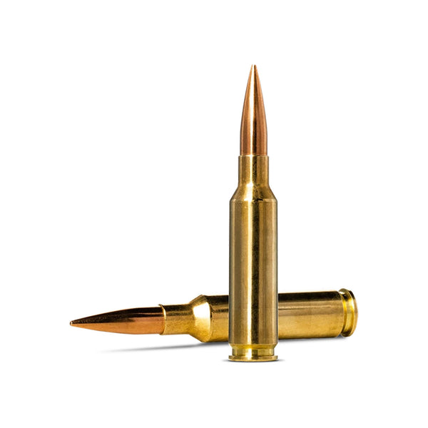 Norma Golden Target 6.5CM 143Gr - Centrefire Ammo - 20 Rounds