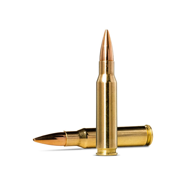 Norma Golden Target 308 WIN 155Gr - Centrefire Ammo - 20 Rounds