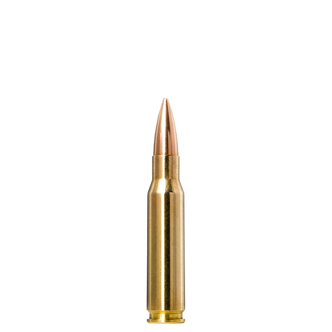 Norma Golden Target 308 WIN 175Gr - Centrefire Ammo - 20 Rounds .308 WIN