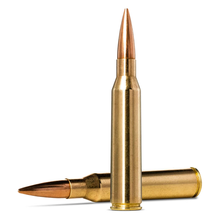 Norma Golden Target 338 Lapua Mag 250Gr - 20 Rounds