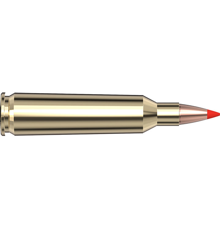 Hornady V-Max, 22-250 Rem, 55 Grain, Polymer Tip, Centrefire Ammo - 20 Rounds