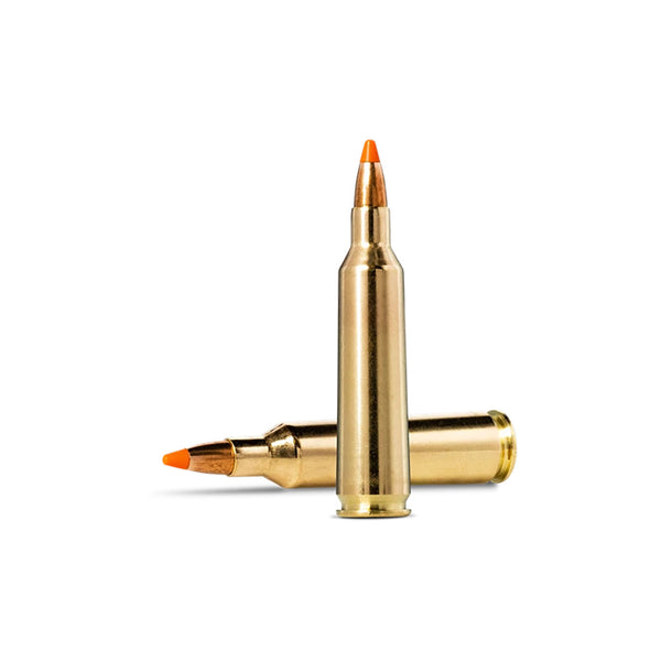 Norma Tipstrike 22-250 REM 55Gr Varmint - Centrefire Ammo - 20 Rounds