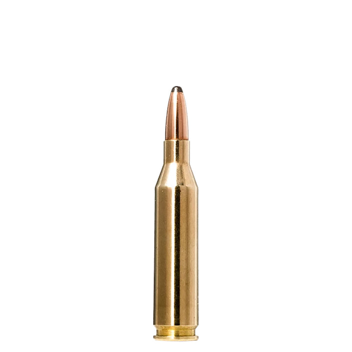 Norma Whitetail Soft Point 243WIN 100Gr - 20 Rounds