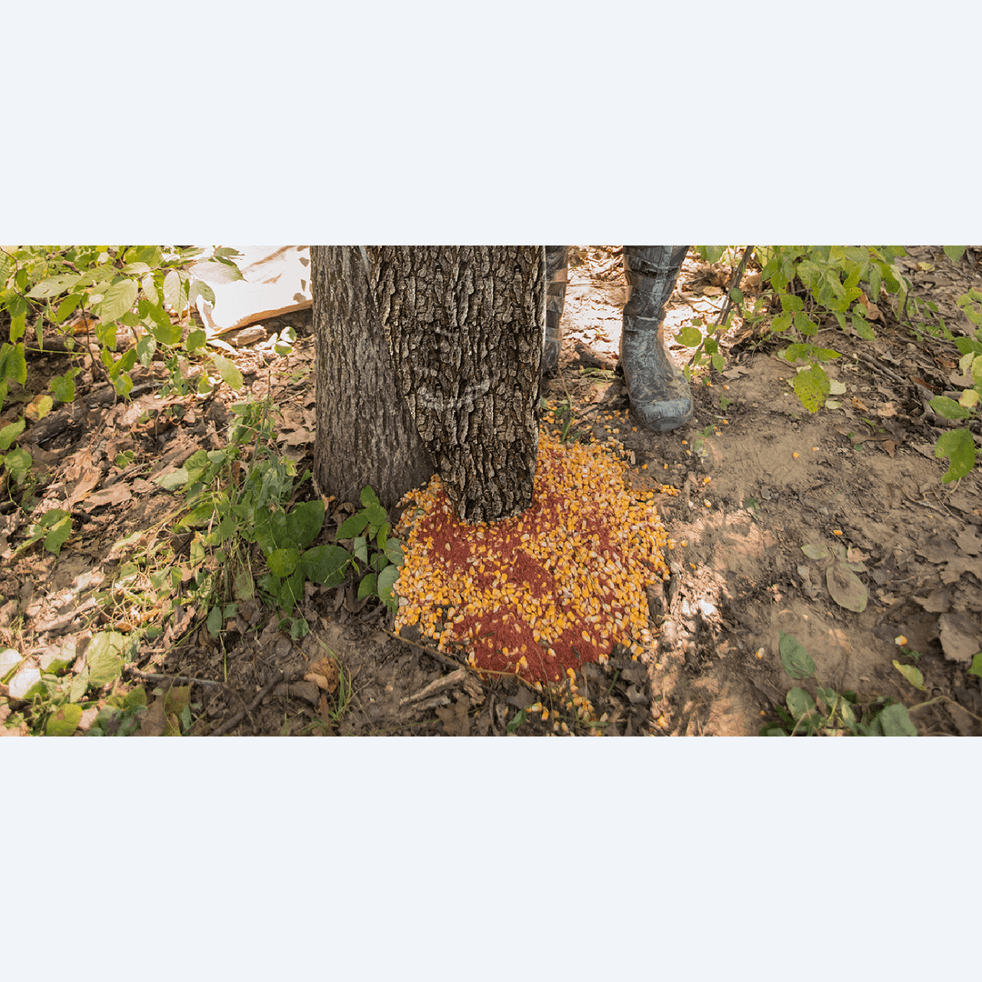 Wildgame Innovations Treehugger/100Lb Gravity Feeder 100LB