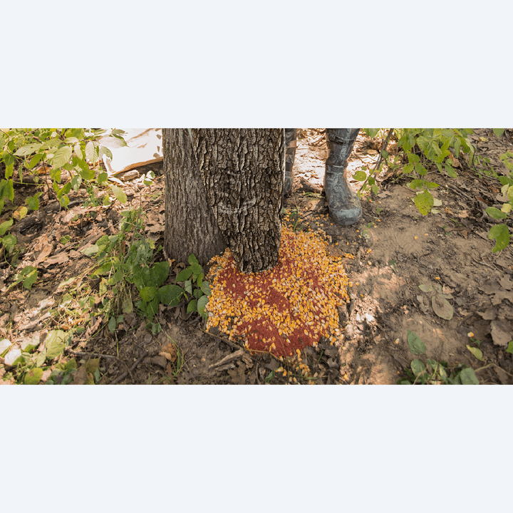 Wildgame Innovations Treehugger/100Lb Gravity Feeder 100LB